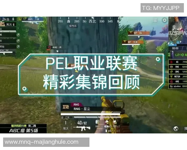 和平精英巨献揭秘RNG战队的战术意识与团队协作之道